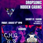 D4 Booking Presents: THE CONSTELLATIONS / COSMIC TWELVE / DROPSONIC / HIDDEN CABINS